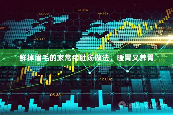 鲜掉眉毛的家常猪肚汤做法，暖胃又养胃