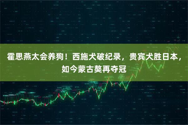 霍思燕太会养狗！西施犬破纪录，贵宾犬胜日本，如今蒙古獒再夺冠