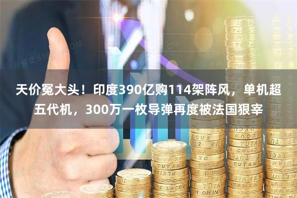 天价冤大头！印度390亿购114架阵风，单机超五代机，300万一枚导弹再度被法国狠宰